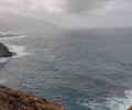 img20250130162429